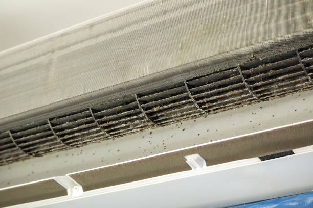 Best Air Duct Cleaning Near Me  in Perryville, MO